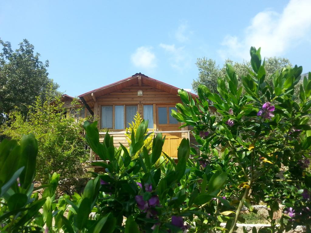 Olive Garden Kabak Hotel Faralya Exterior foto