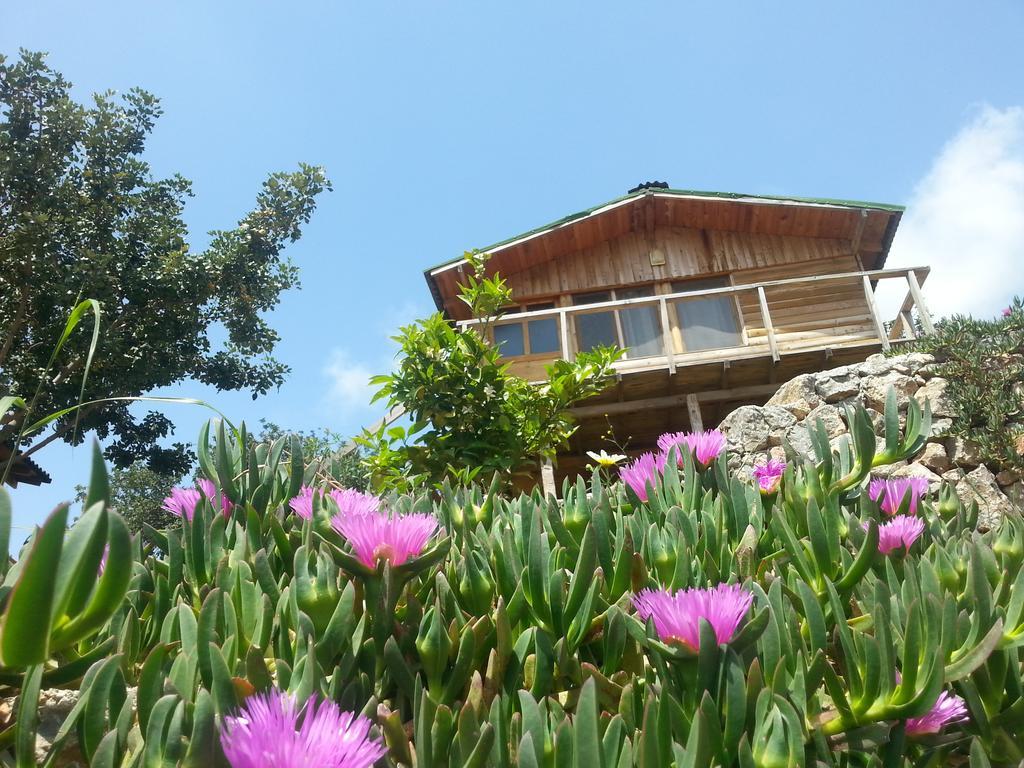Olive Garden Kabak Hotel Faralya Exterior foto