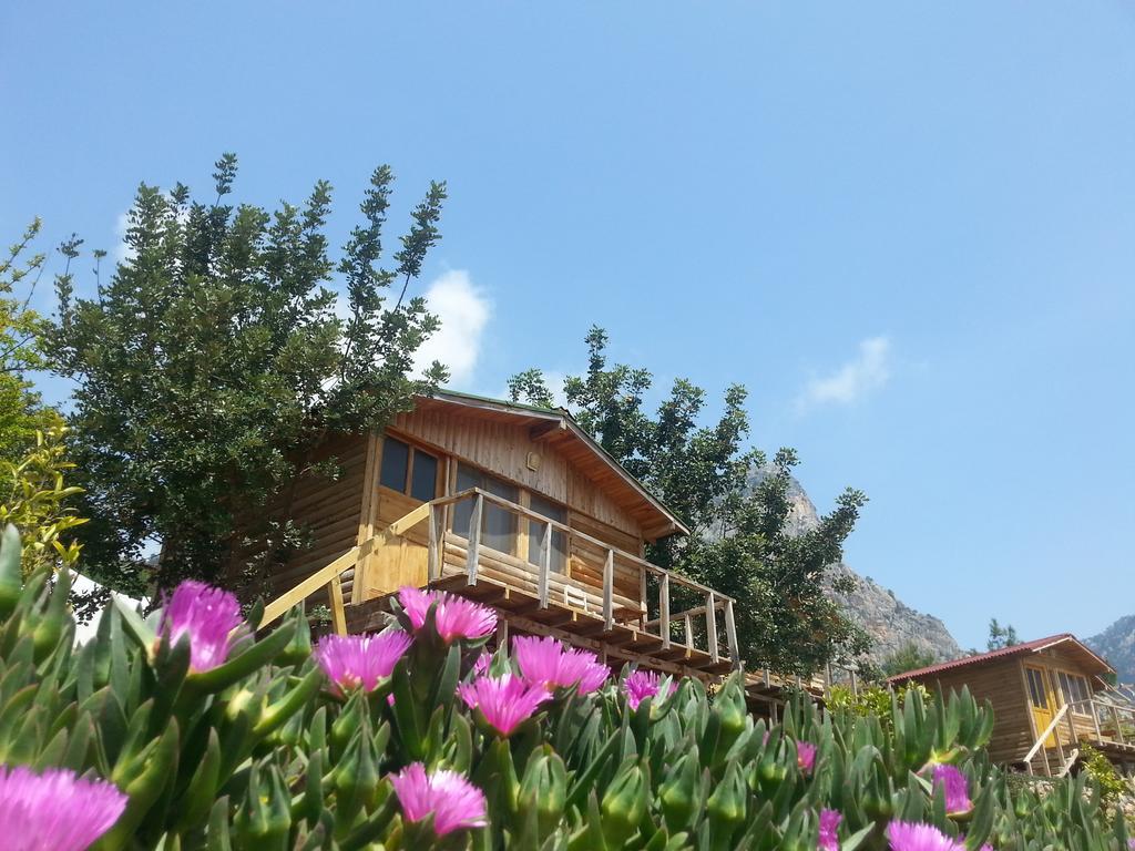 Olive Garden Kabak Hotel Faralya Exterior foto