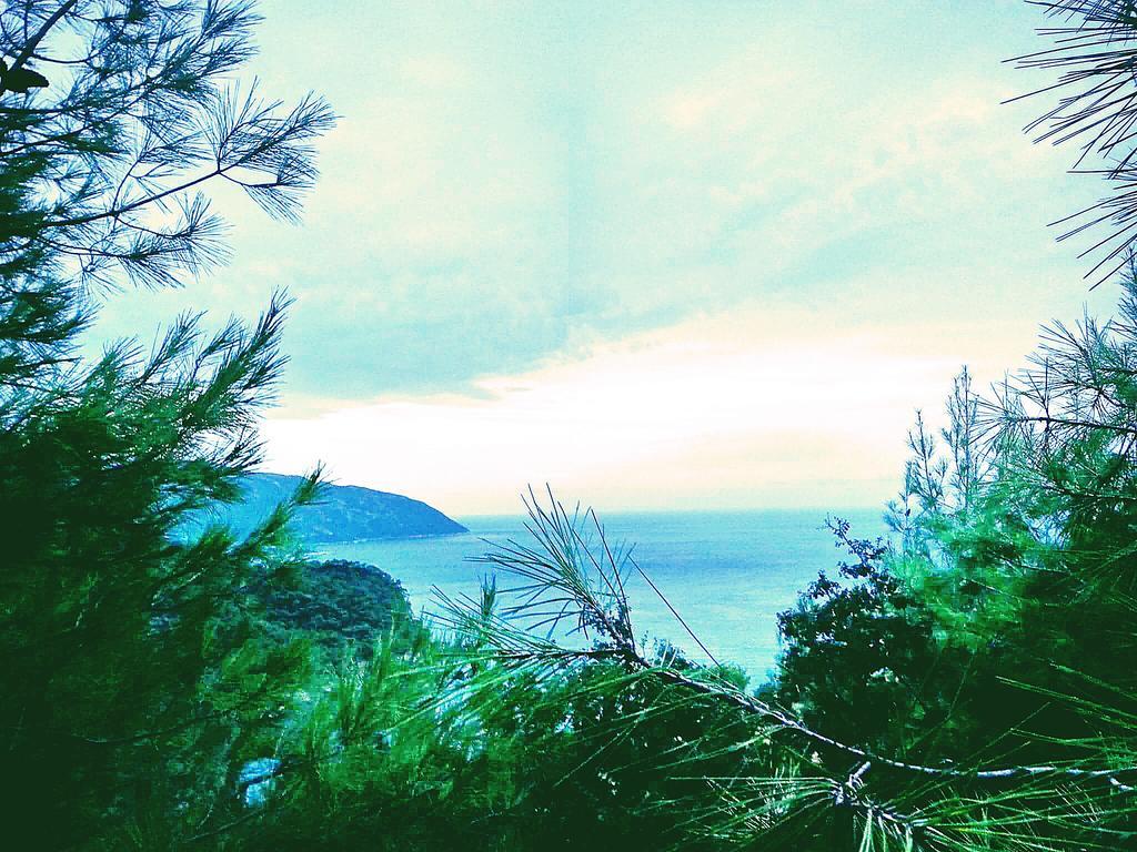 Olive Garden Kabak Hotel Faralya Exterior foto