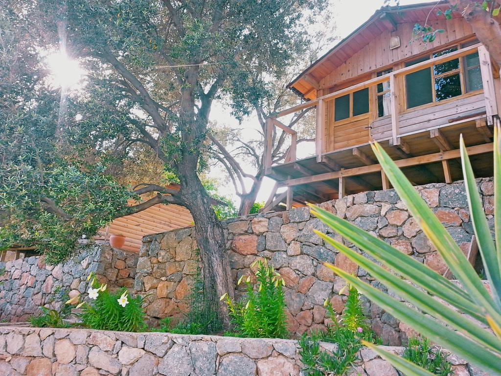 Olive Garden Kabak Hotel Faralya Exterior foto