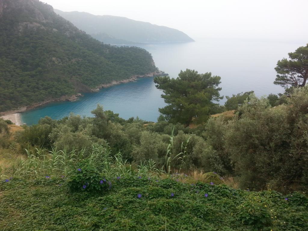 Olive Garden Kabak Hotel Faralya Exterior foto