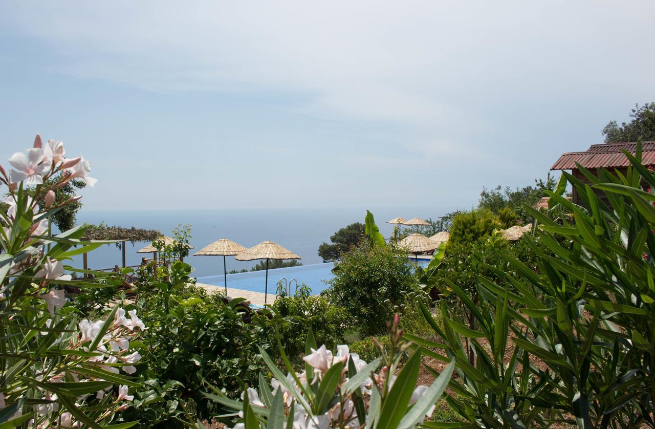 Olive Garden Kabak Hotel Faralya Exterior foto